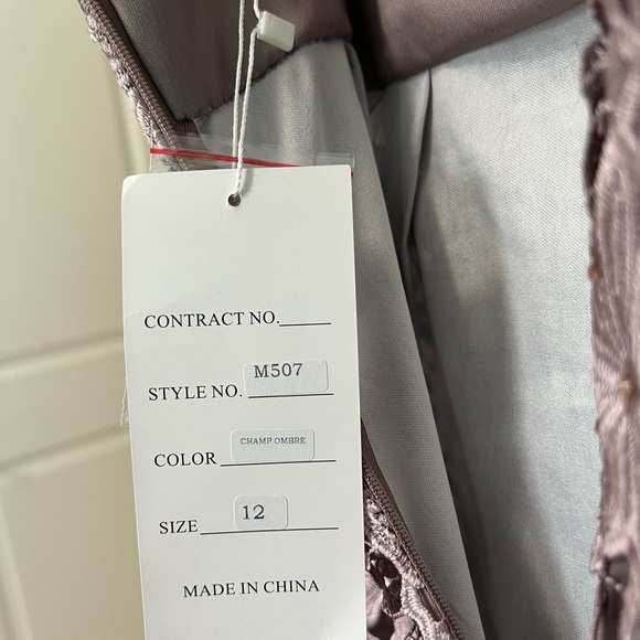 Mother of the Bride Gown - Size 12 Champagne Ombré.  Never Worn/Brand New - Picture 15 of 17